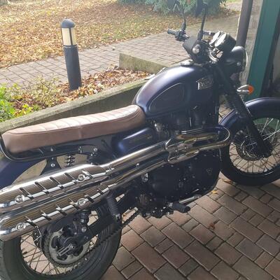 Triumph Scrambler (2006 - 17) usata