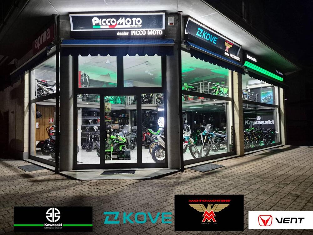 Kawasaki Ninja 1000 ZX-10R (2021 - 25) (8)