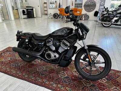 Harley-Davidson Nightster (2023 - 25) usata