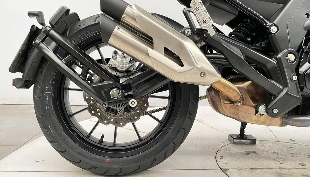 Benelli 502 C (2019 - 20) (6)
