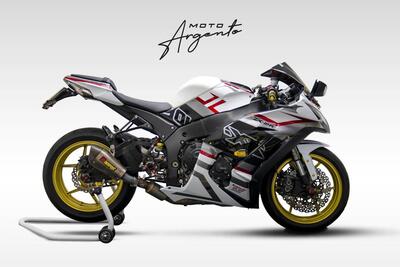 Kawasaki Ninja 1000 ZX-10R (2011 - 15) usata