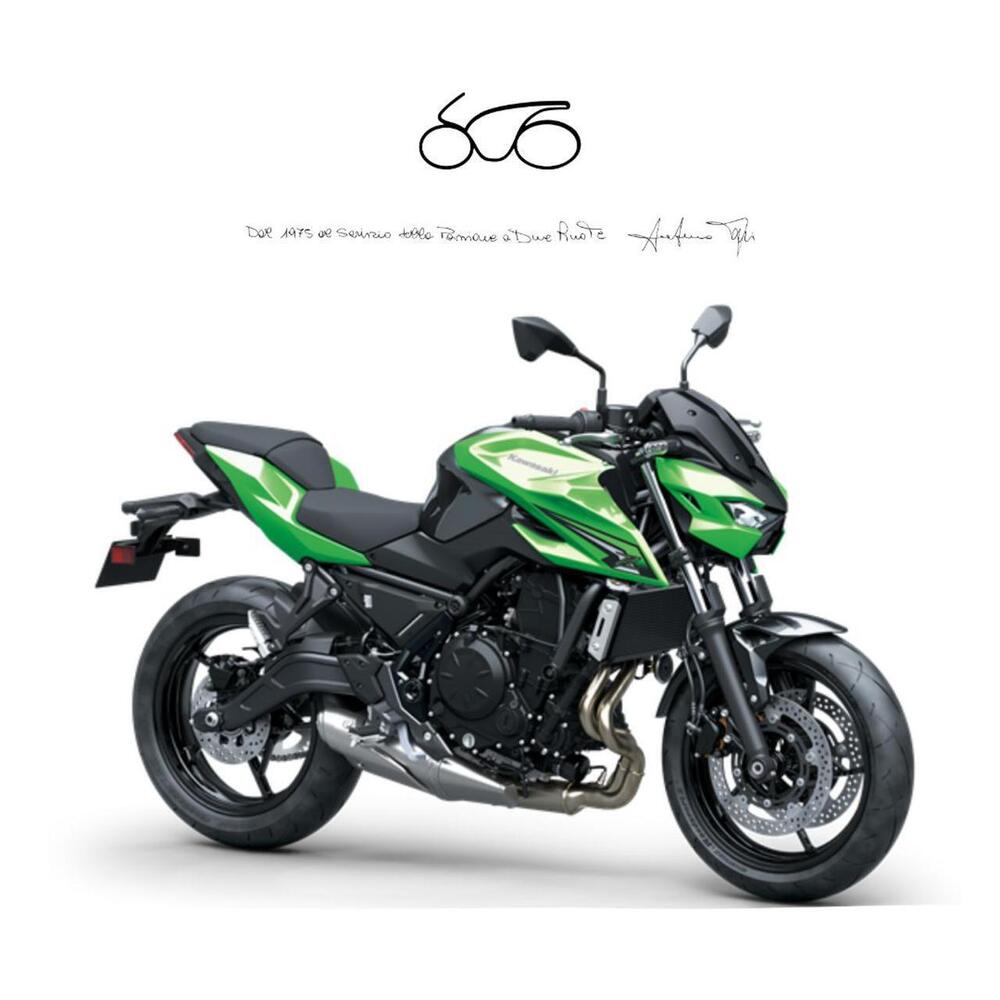 Kawasaki Z 650 S (2026)