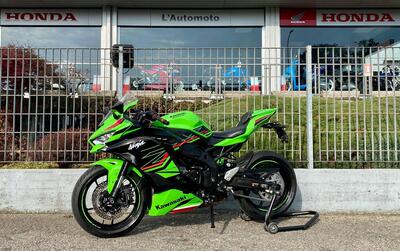 Kawasaki Ninja ZX-4RR (2024 - 26) usata