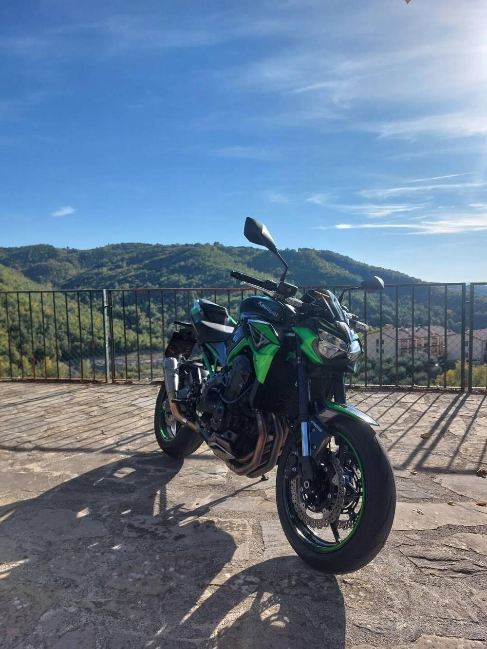 Kawasaki Z 900 A2 (2021 - 24) (3)