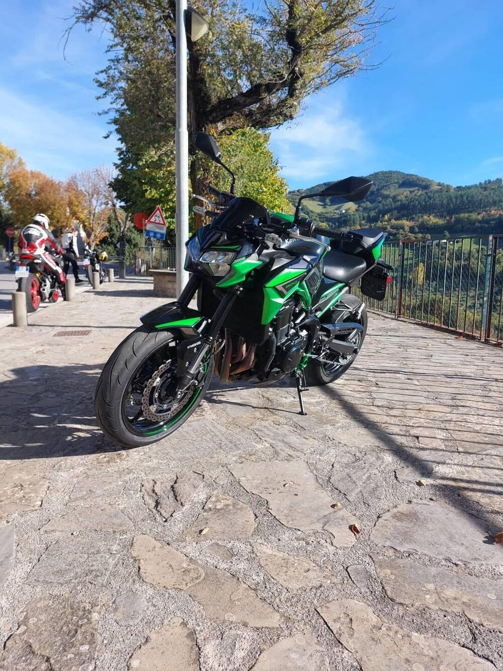 Kawasaki Z 900 A2 (2021 - 24) (5)