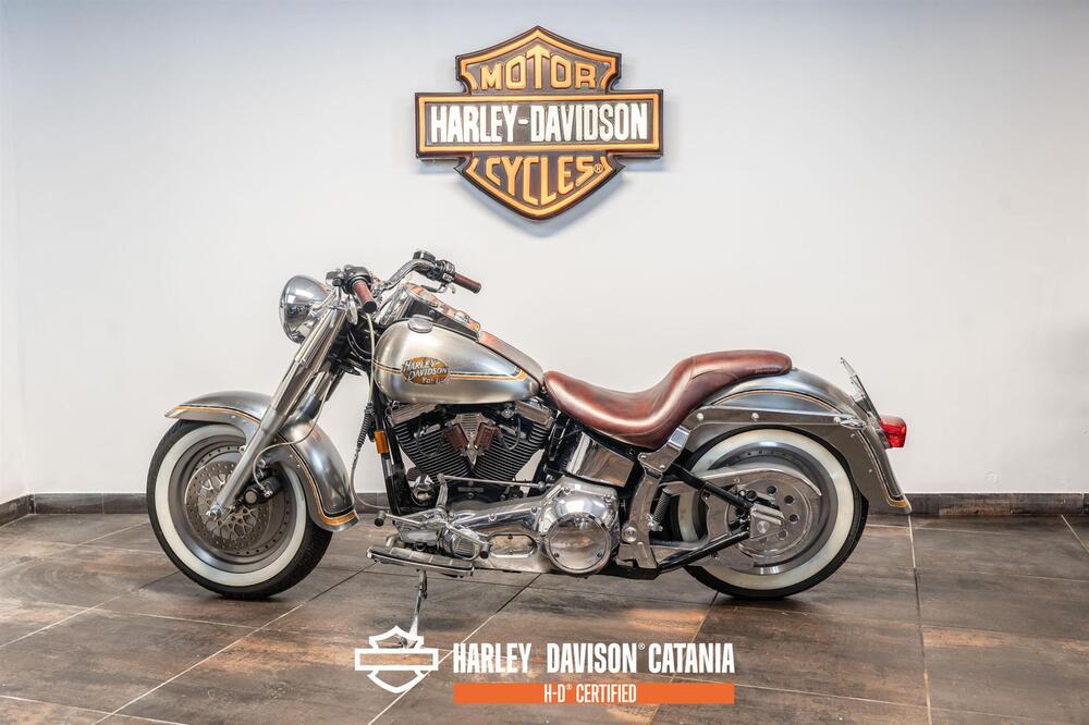 Harley-Davidson 1340 Bad Boy (1995 - 99) (3)
