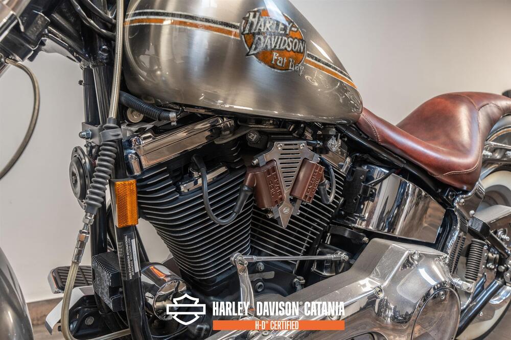 Harley-Davidson 1340 Bad Boy (1995 - 99) (6)