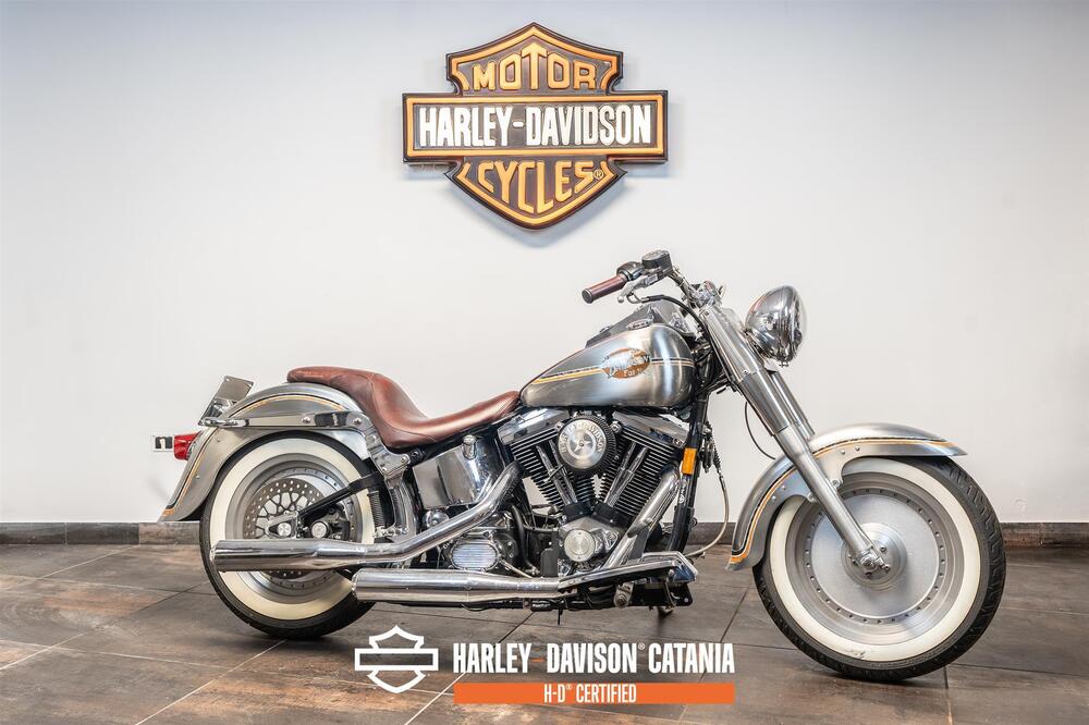 Harley-Davidson 1340 Bad Boy (1995 - 99) (7)