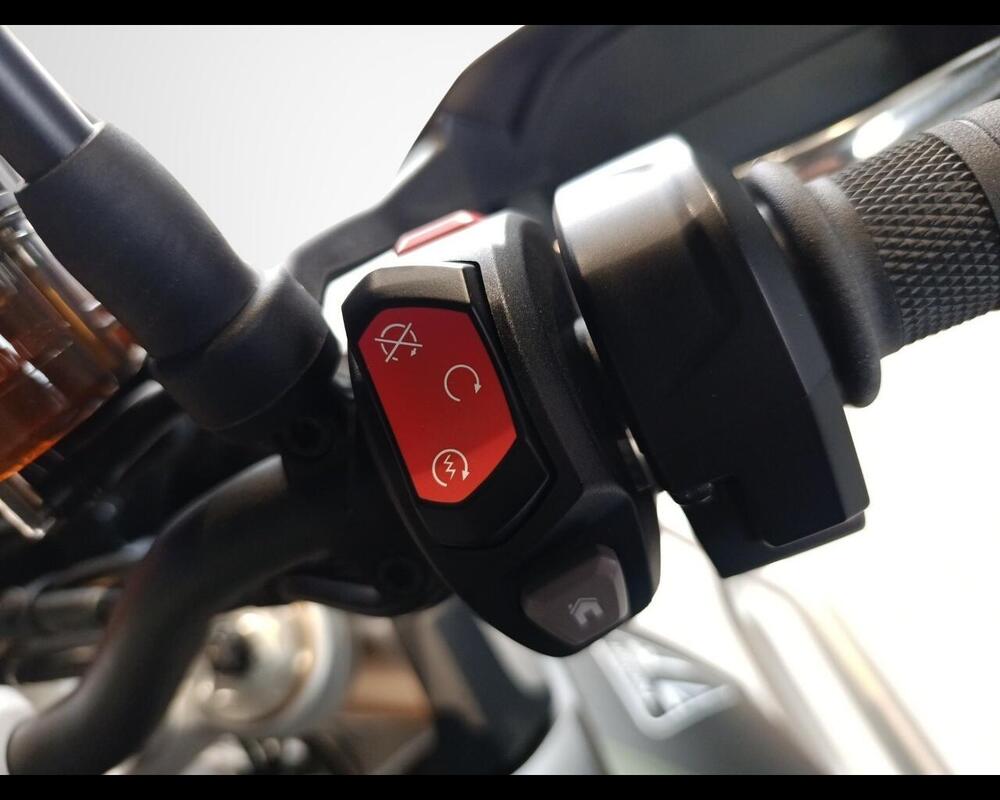 Triumph Tiger 900 Rally Pro (2024 - 26) (9)