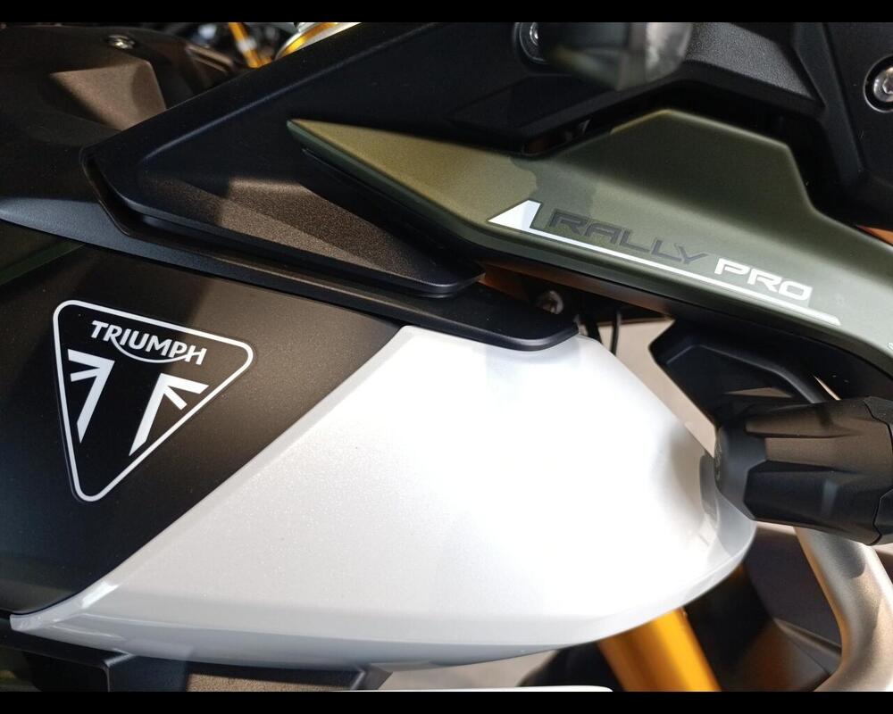 Triumph Tiger 900 Rally Pro (2024 - 26) (12)