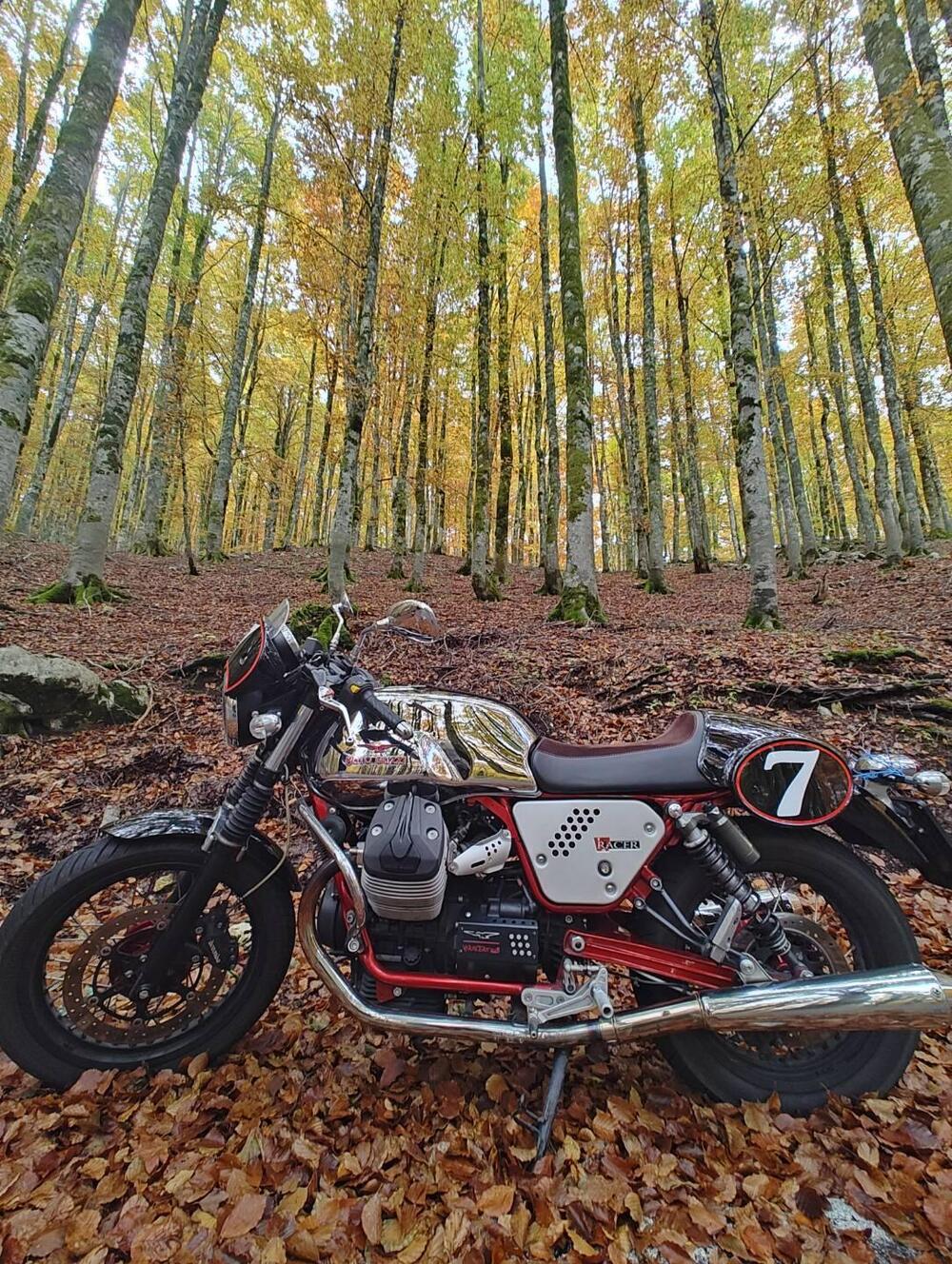 Moto Guzzi V7 Racer (2012 - 14)