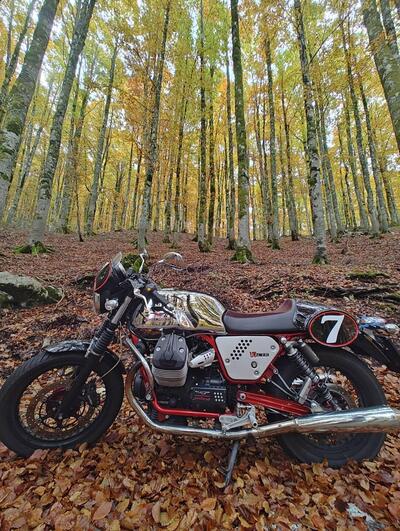 Moto Guzzi V7 Racer (2012 - 14) usata