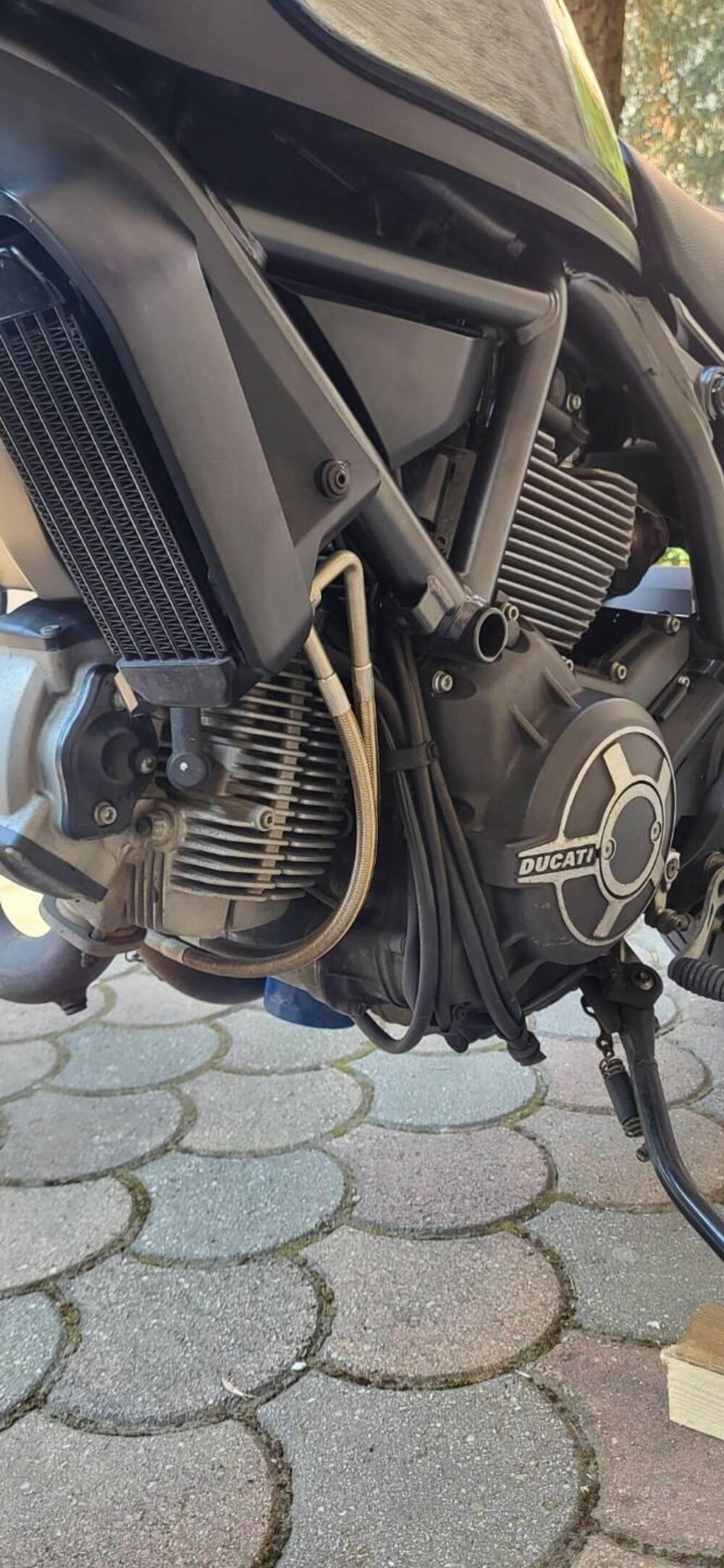 Ducati Scrambler 800 Icon (2015 - 16) (10)