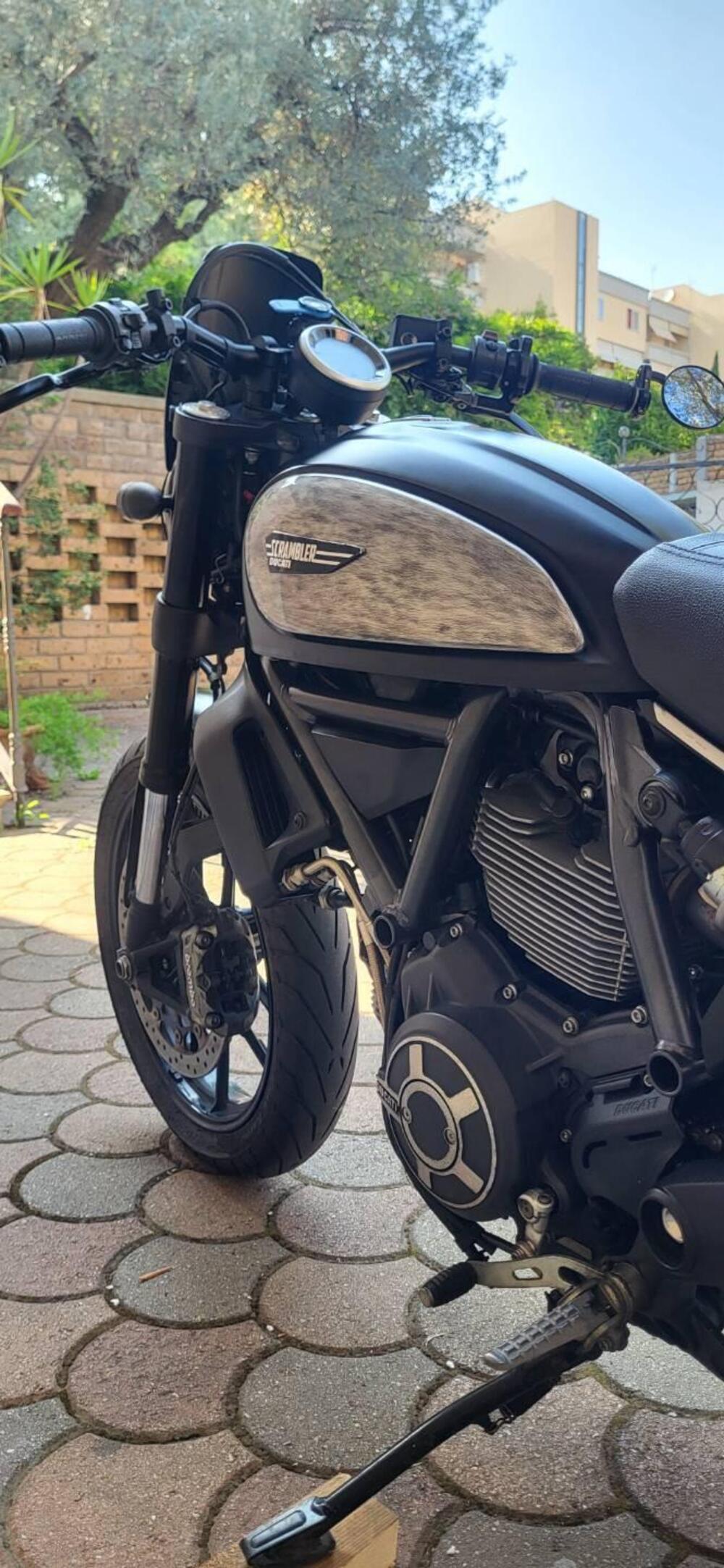 Ducati Scrambler 800 Icon (2015 - 16) (11)