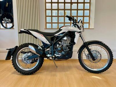 Betamotor Alp 4.0 (2024 - 25) usata