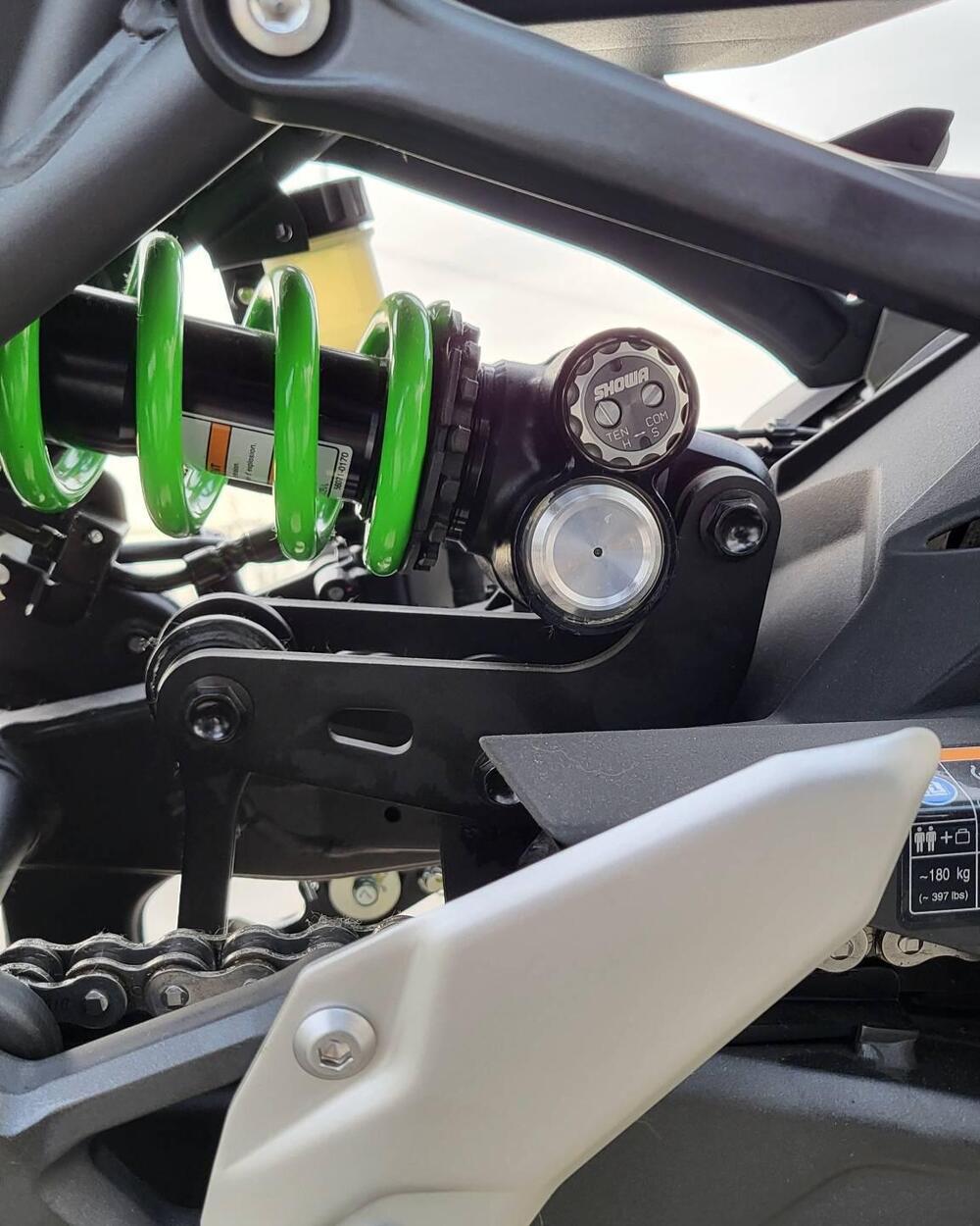 Kawasaki Ninja ZX-4RR (2024 - 26) (4)