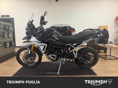 Triumph Tiger 900 Rally Pro (2024 - 25) usata