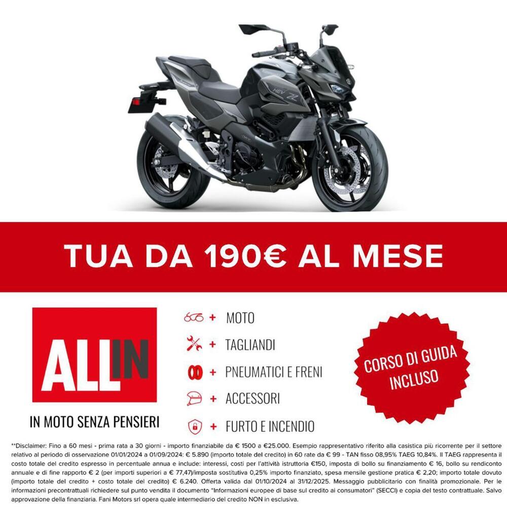 Kawasaki Z7 Hybrid (2024 - 25) (2)