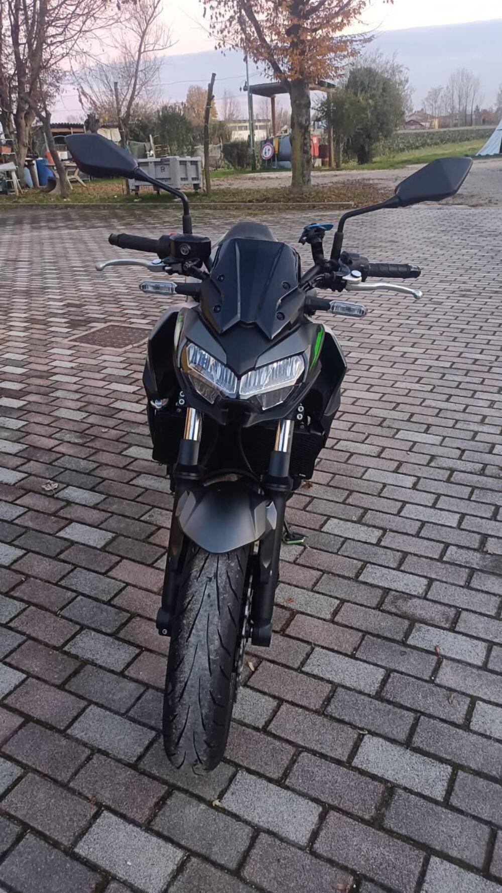 Kawasaki Z 650 (2021 - 24) (2)
