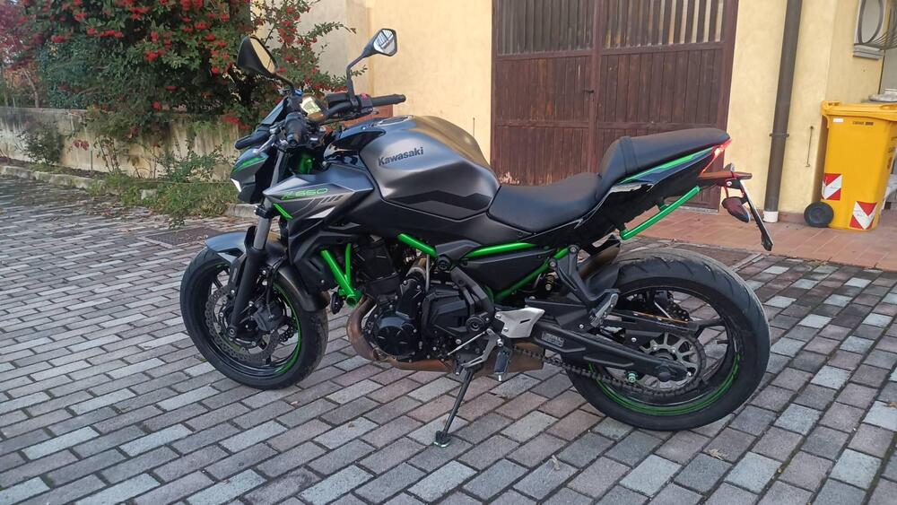Kawasaki Z 650 (2021 - 24) (5)