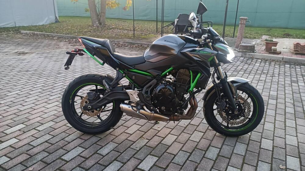 Kawasaki Z 650 (2021 - 24) (6)