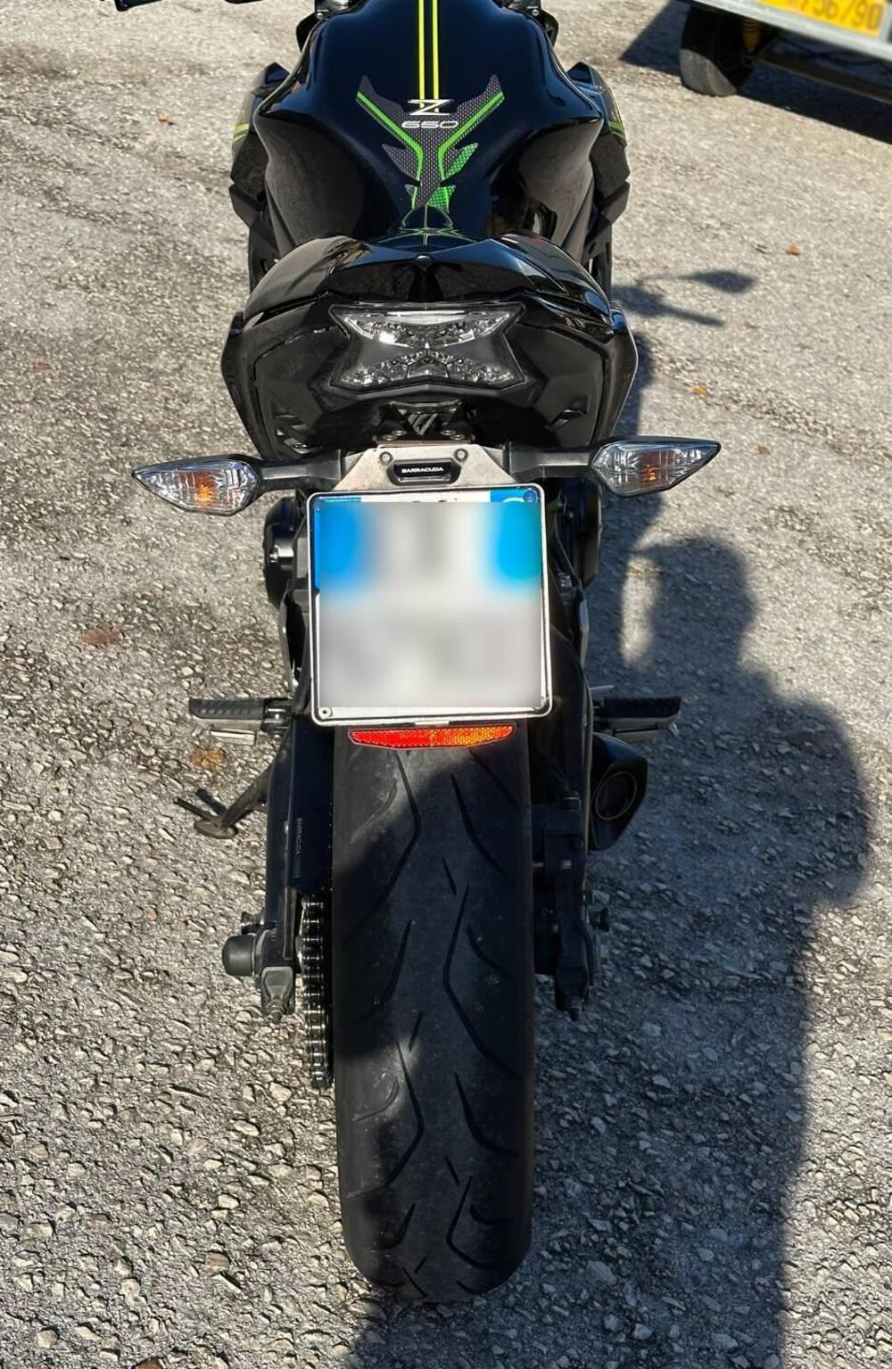 Kawasaki Z 650 (2021 - 24) (7)