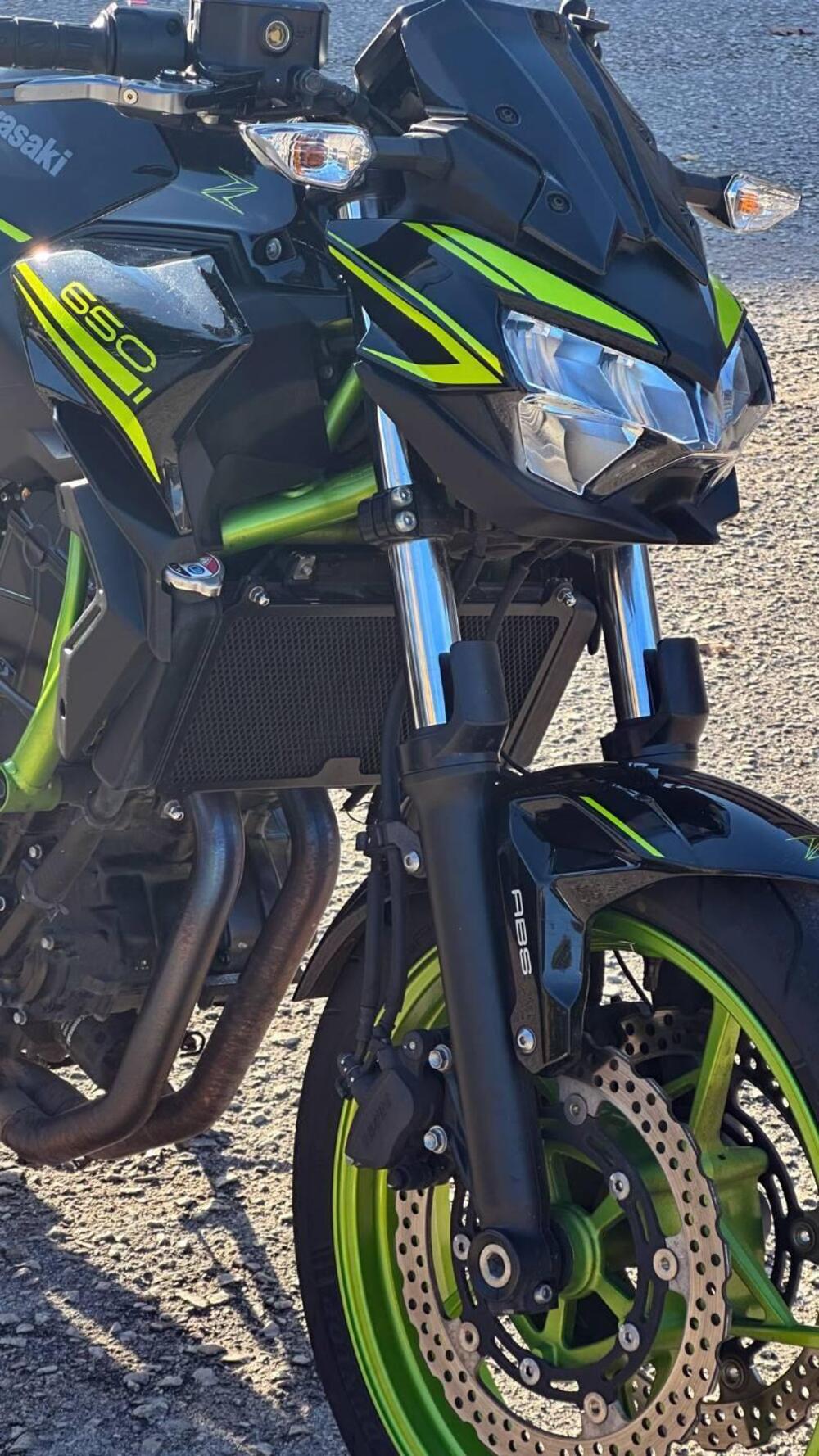 Kawasaki Z 650 (2021 - 24) (8)
