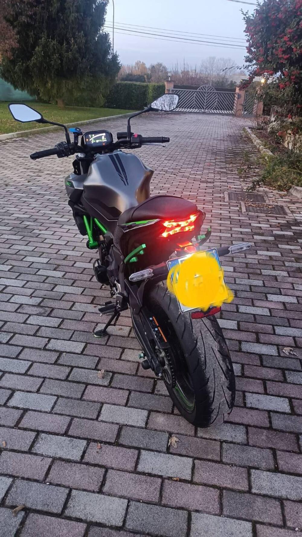Kawasaki Z 650 (2021 - 24) (8)