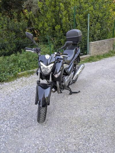 Suzuki Inazuma 250 Plus (2012 - 16) usata