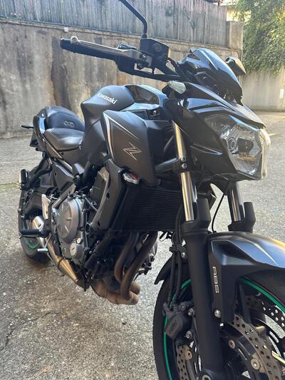 Kawasaki Z 650 (2017 - 19) usata