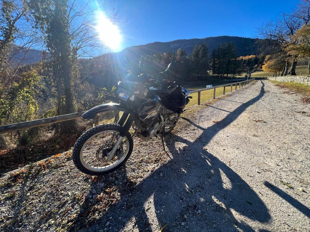 Honda NX 650 Dominator (1996 - 02) (2)