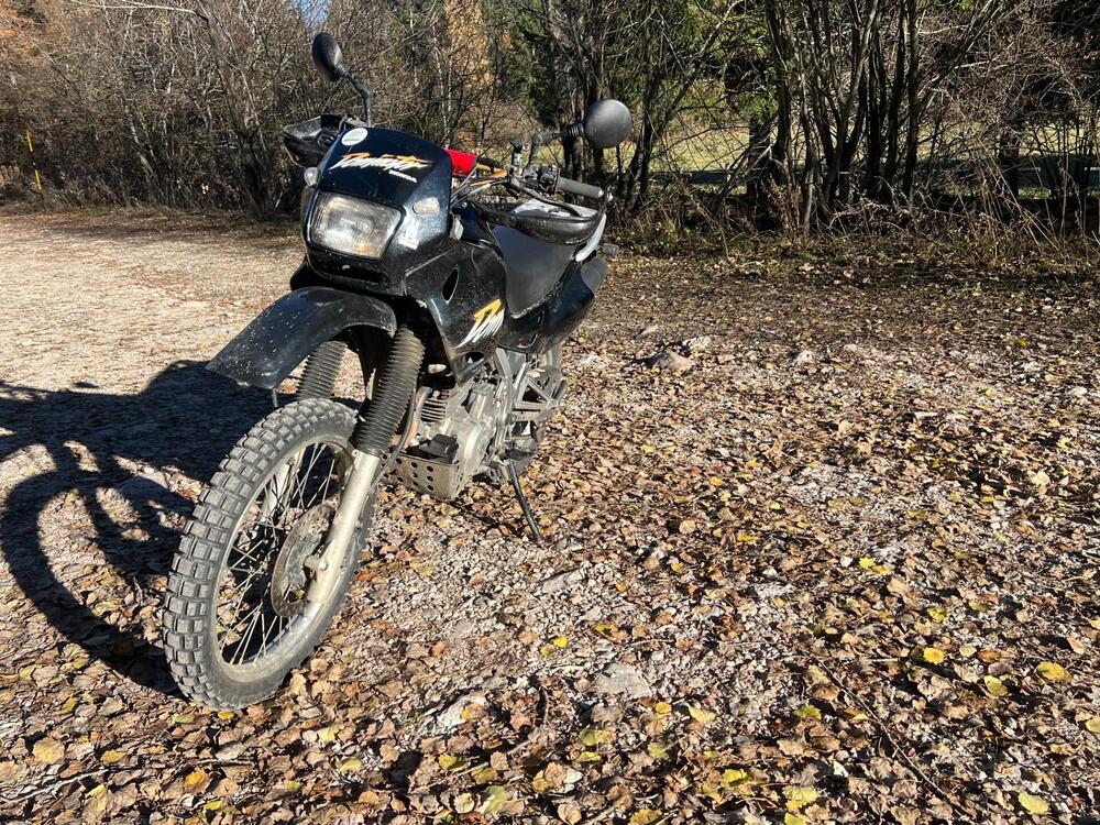 Honda NX 650 Dominator (1996 - 02) (8)