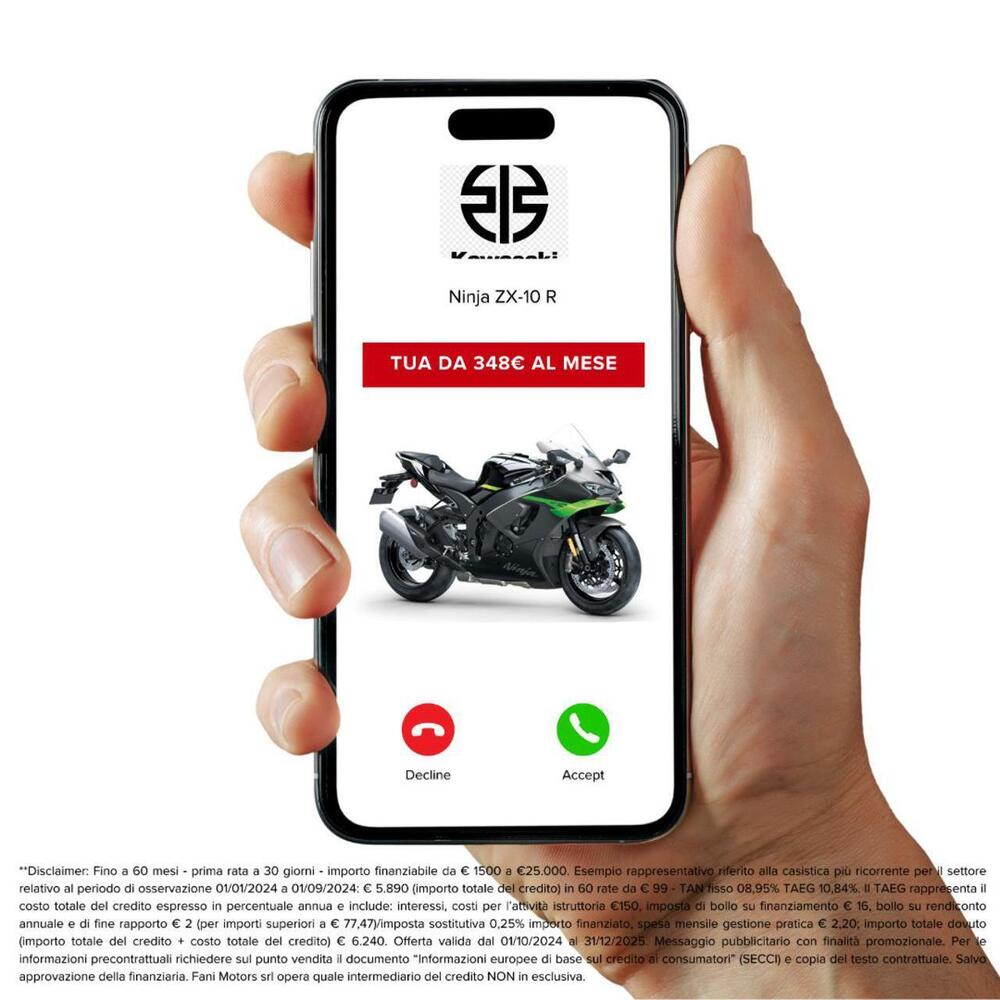 Kawasaki Ninja 1000 ZX-10R (2021 - 25) (3)