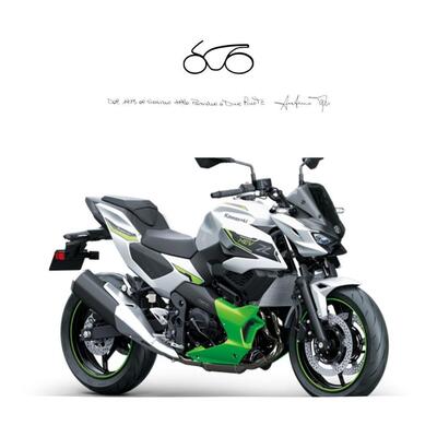 Kawasaki Z7 Hybrid (2024 - 25) nuova
