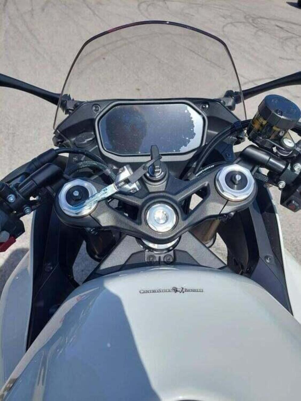 Benelli Tornado 550 (2025 - 26) (9)