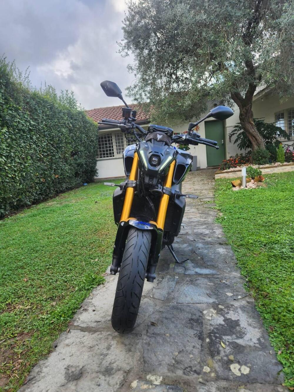 Yamaha MT-09 SP (2021 - 23) (5)