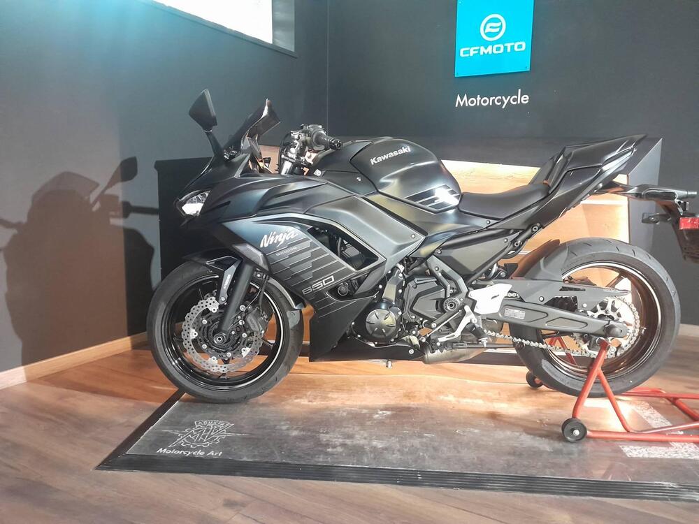 Kawasaki Ninja 650 (2025 - 26) (12)