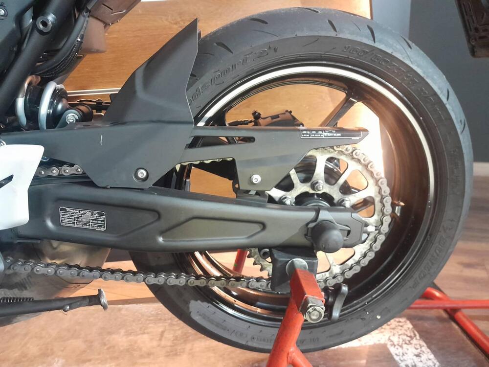 Kawasaki Ninja 650 (2025 - 26) (15)