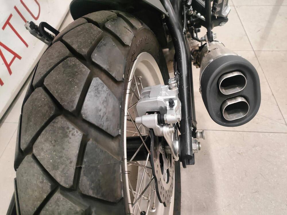 Benelli Leoncino 500 Trail (2021 - 26) (5)