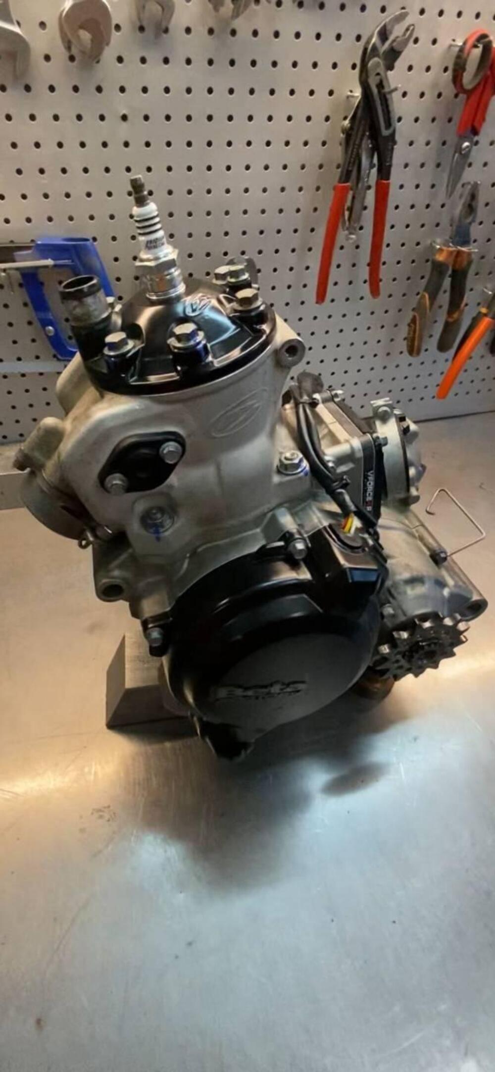 Betamotor RR 125 2T Enduro Racing (2019) (3)