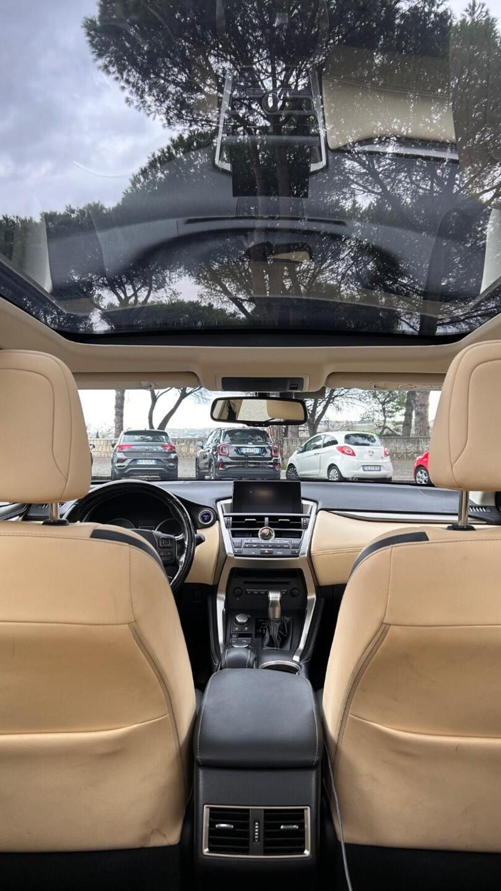 Lexus NX usata a Roma (12)