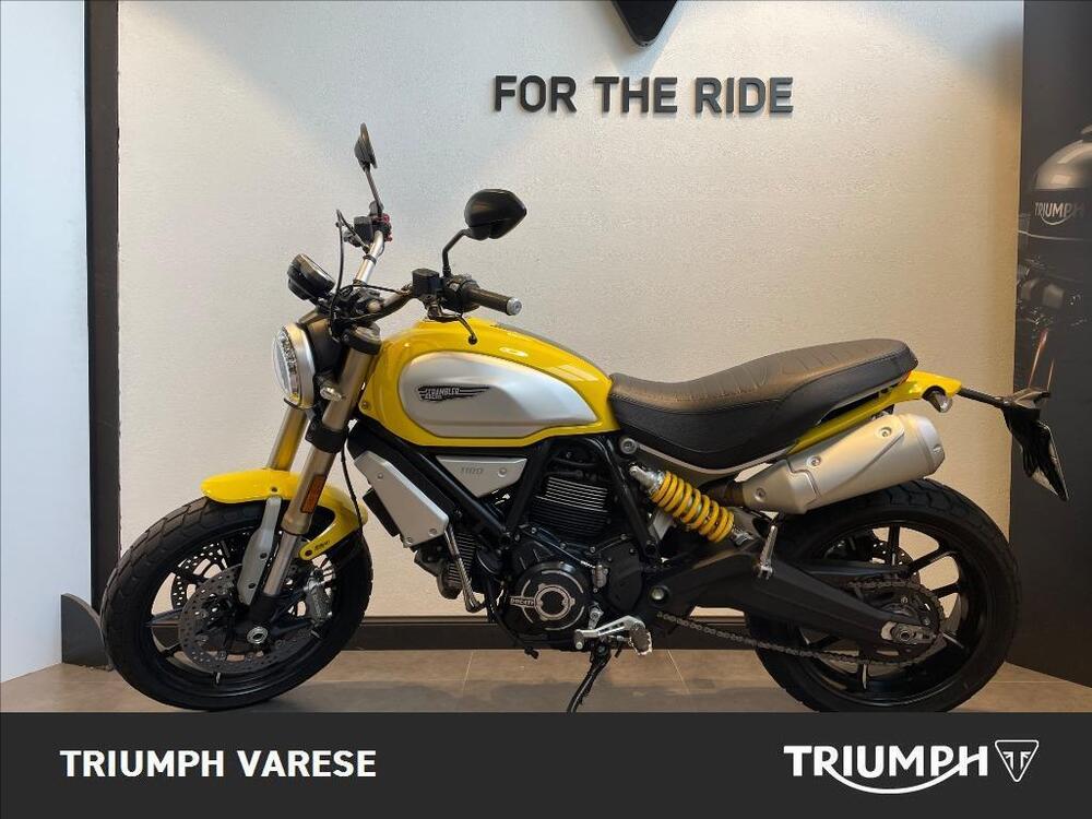 Ducati Scrambler 1100 (2018 - 20) (4)