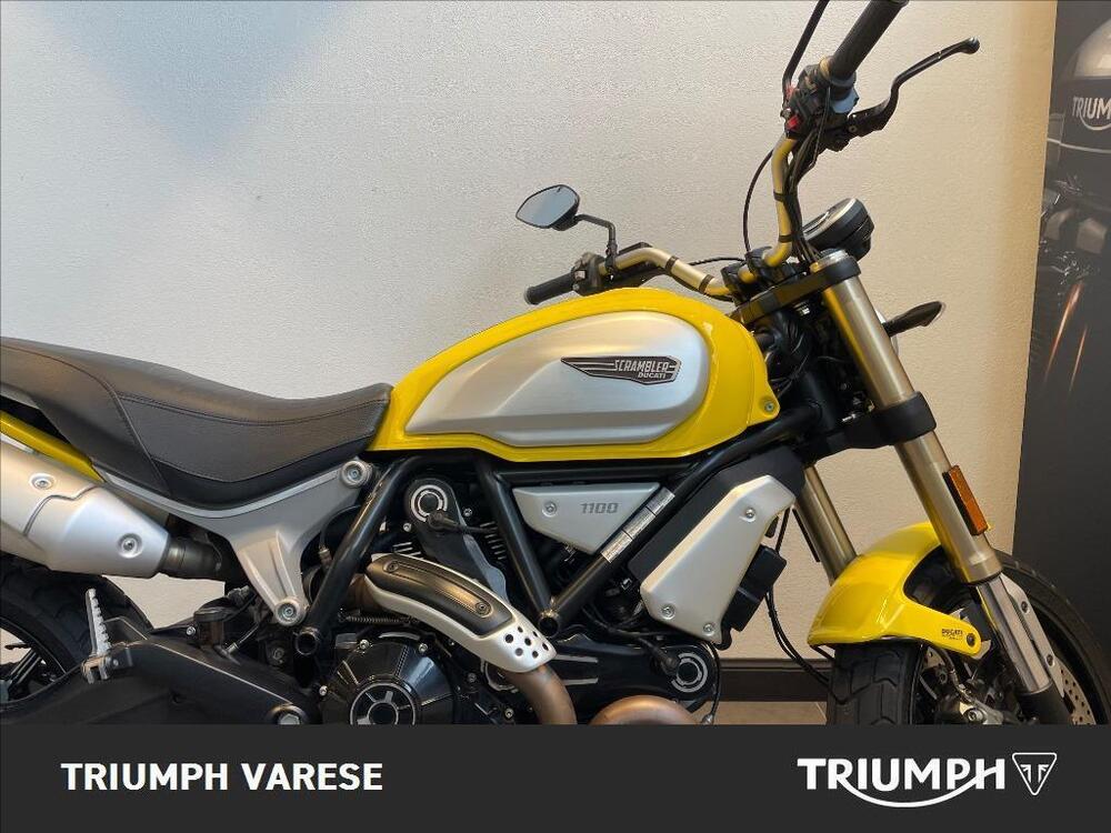 Ducati Scrambler 1100 (2018 - 20) (5)