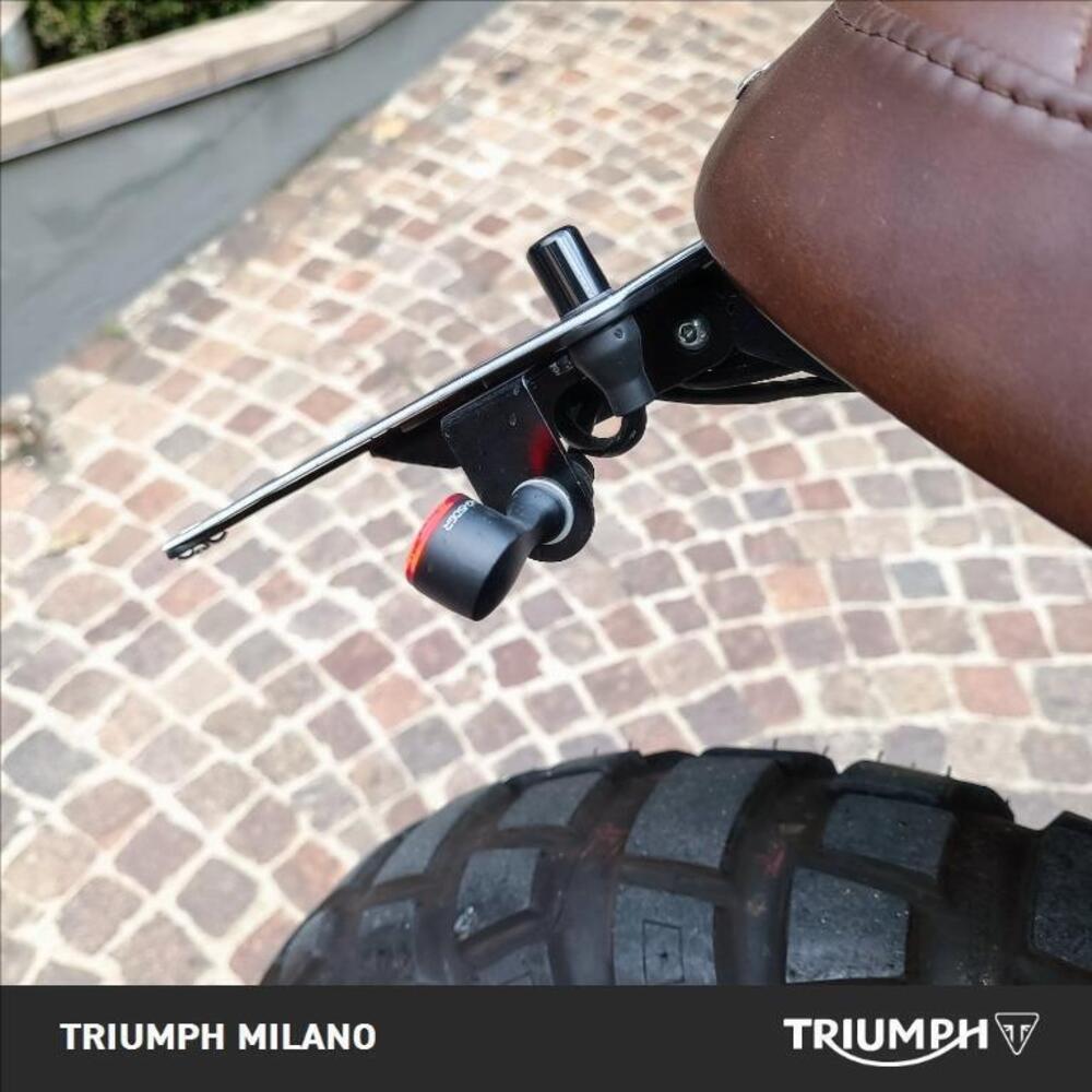 Triumph Street Scrambler 900 (2021 - 22) (3)