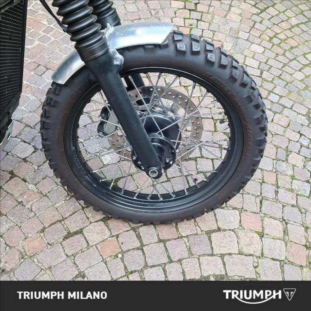 Triumph Street Scrambler 900 (2021 - 22) (6)