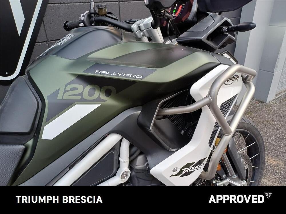 Triumph Tiger 1200 Rally Pro (2022 - 23) (5)