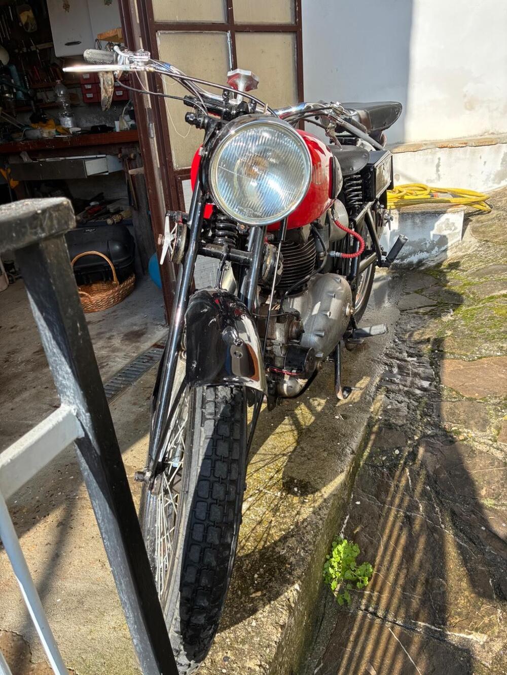 Gilera 500 SATURNO (12)