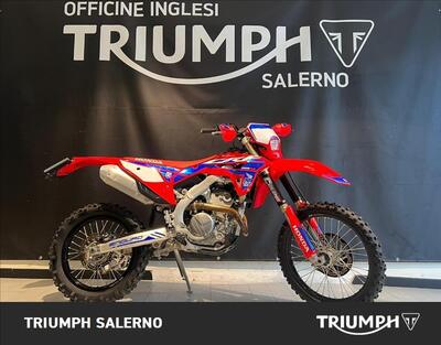 Honda CRF 250 RX Enduro (2024) usata