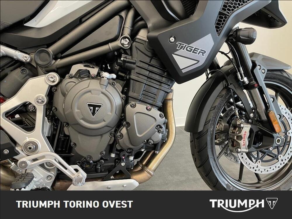 Triumph Tiger 1200 GT Pro (2022 - 23) (9)