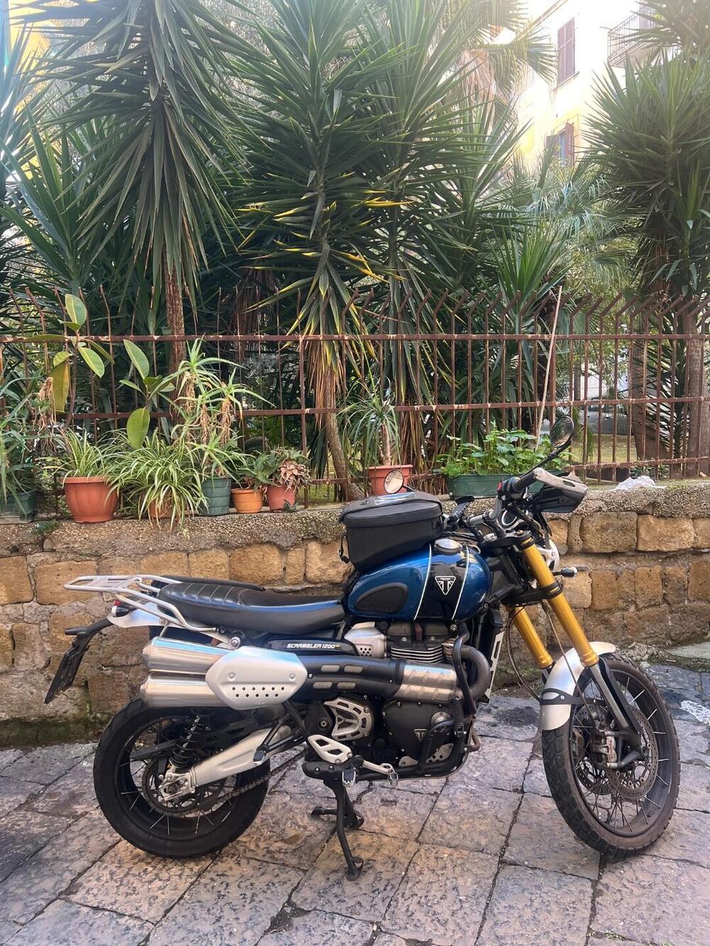 Triumph Scrambler 1200 XE (2019 - 20) (12)